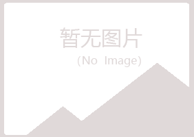 曲阜山柳化学有限公司